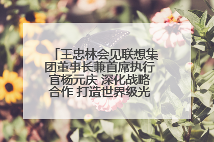 王忠林会见联想集团董事长兼首席执行官杨元庆 深化战略合作 打造世界级光电子信息产业集群