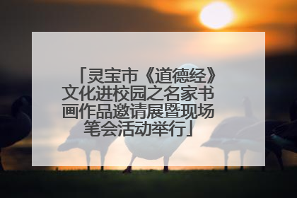 灵宝市《道德经》文化进校园之名家书画作品邀请展暨现场笔会活动举行