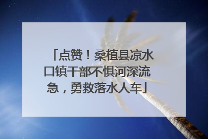 点赞！桑植县凉水口镇干部不惧河深流急，勇救落水人车