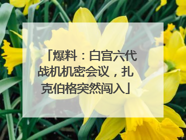 爆料：白宫六代战机机密会议，扎克伯格突然闯入