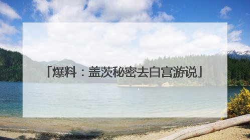 爆料：盖茨秘密去白宫游说
