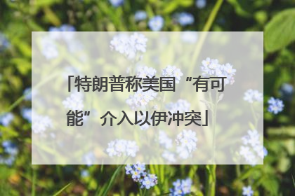 特朗普称美国“有可能”介入以伊冲突