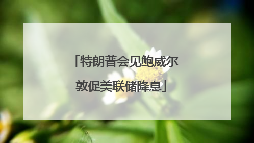 特朗普会见鲍威尔 敦促美联储降息