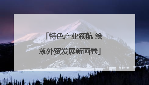 特色产业领航 绘就外贸发展新画卷