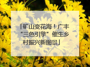 矿山变花海！广丰“三色引擎”催生乡村振兴新图景