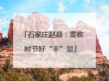 石家庄赵县：麦收时节好“丰”景