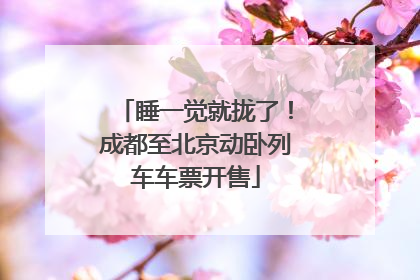睡一觉就拢了！成都至北京动卧列车车票开售