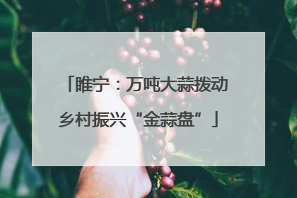 睢宁：万吨大蒜拨动乡村振兴“金蒜盘”