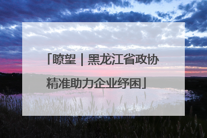 瞭望｜黑龙江省政协精准助力企业纾困