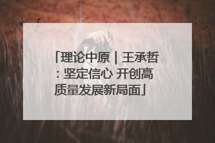 理论中原｜王承哲：坚定信心 开创高质量发展新局面