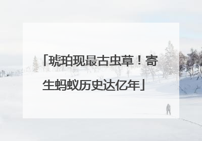 琥珀现最古虫草！寄生蚂蚁历史达亿年