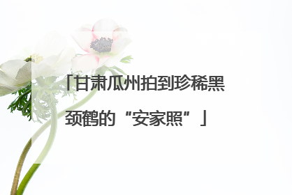 甘肃瓜州拍到珍稀黑颈鹤的“安家照”