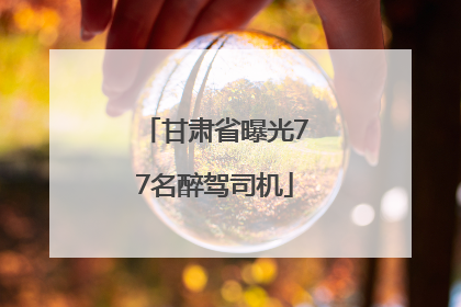 甘肃省曝光77名醉驾司机