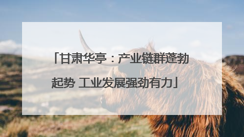 甘肃华亭：产业链群蓬勃起势 工业发展强劲有力