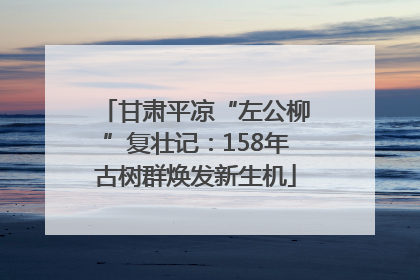 甘肃平凉“左公柳”复壮记：158年古树群焕发新生机