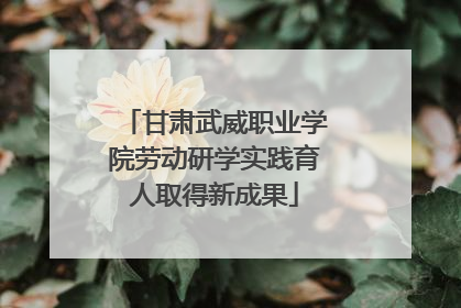 甘肃武威职业学院劳动研学实践育人取得新成果