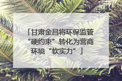 甘肃金昌将环保监管“硬约束”转化为营商环境“软实力”