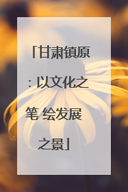 甘肃镇原：以文化之笔 绘发展之景