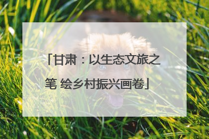 甘肃：以生态文旅之笔 绘乡村振兴画卷
