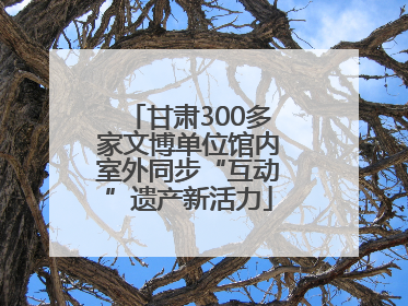 甘肃300多家文博单位馆内室外同步“互动”遗产新活力