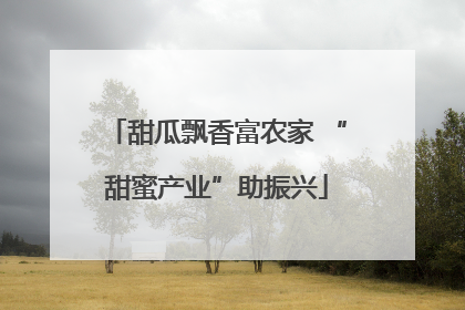 甜瓜飘香富农家 “甜蜜产业”助振兴