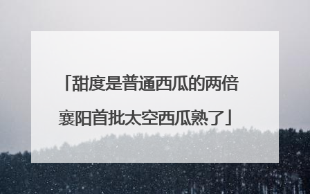 甜度是普通西瓜的两倍 襄阳首批太空西瓜熟了