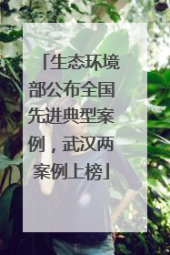 生态环境部公布全国先进典型案例，武汉两案例上榜