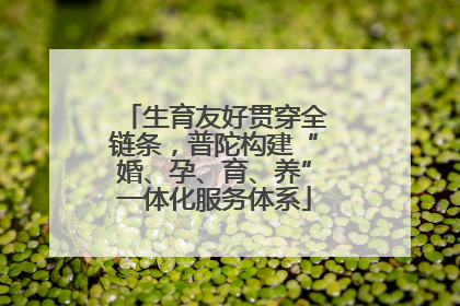 生育友好贯穿全链条，普陀构建“婚、孕、育、养”一体化服务体系
