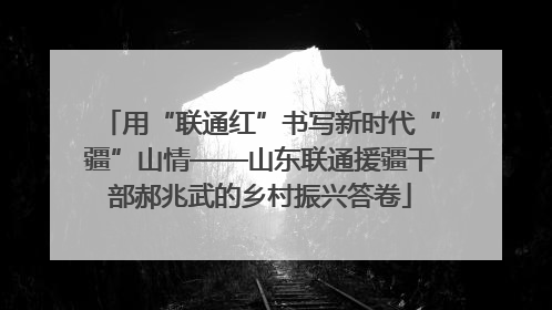 用“联通红”书写新时代“疆”山情——山东联通援疆干部郝兆武的乡村振兴答卷