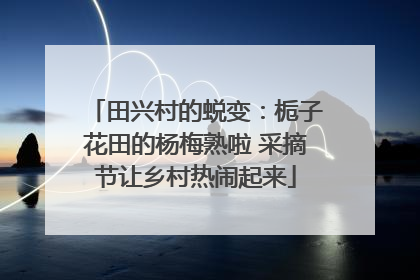 田兴村的蜕变：栀子花田的杨梅熟啦 采摘节让乡村热闹起来