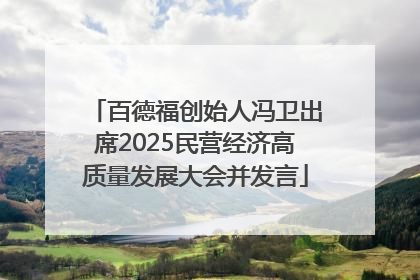 百德福创始人冯卫出席2025民营经济高质量发展大会并发言