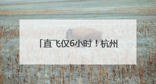 直飞仅6小时！杭州机场首次开通“杭州-新疆伊宁”航线