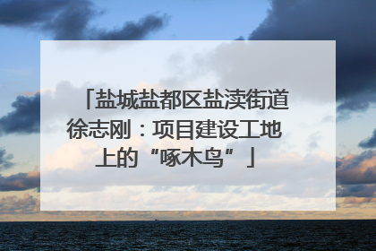 盐城盐都区盐渎街道徐志刚：项目建设工地上的“啄木鸟”