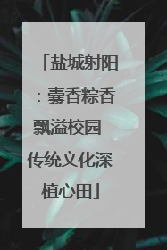 盐城射阳：囊香粽香飘溢校园 传统文化深植心田
