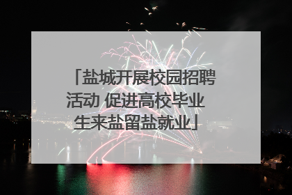 盐城开展校园招聘活动 促进高校毕业生来盐留盐就业