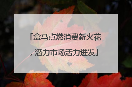 盒马点燃消费新火花，潜力市场活力迸发