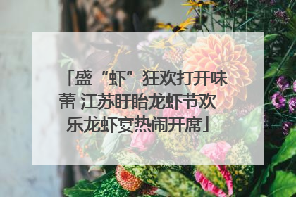 盛“虾”狂欢打开味蕾 江苏盱眙龙虾节欢乐龙虾宴热闹开席