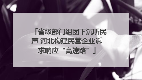 省级部门组团下沉听民声 河北构建民营企业诉求响应“高速路”