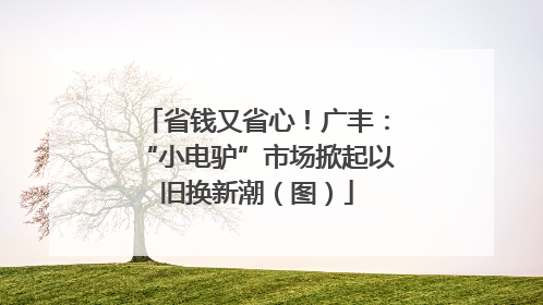 省钱又省心！广丰：“小电驴”市场掀起以旧换新潮（图）