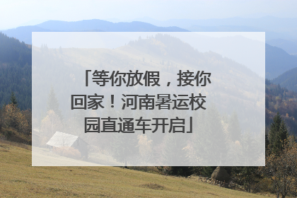 等你放假，接你回家！河南暑运校园直通车开启
