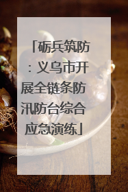 砺兵筑防：义乌市开展全链条防汛防台综合应急演练