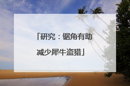 研究：锯角有助减少犀牛盗猎