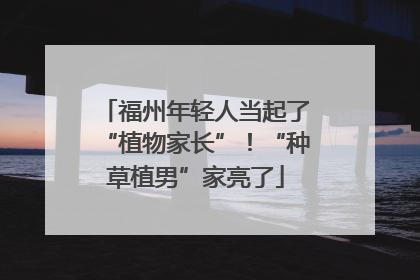 福州年轻人当起了“植物家长”！“种草植男”家亮了