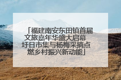 福建南安东田镇首届文旅嘉年华盛大启幕 圩日市集与杨梅采摘点燃乡村振兴新动能