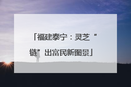 福建泰宁：灵芝“链”出富民新图景