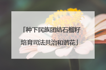 种下民族团结石榴籽 培育司法共治和谐花
