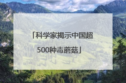 科学家揭示中国超500种毒蘑菇