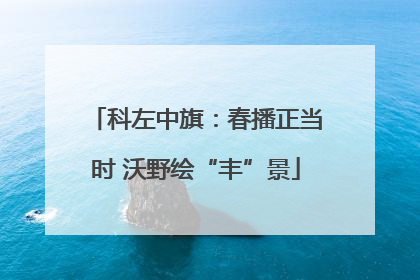 科左中旗：春播正当时 沃野绘“丰”景