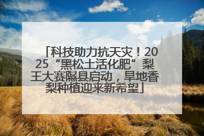 科技助力抗天灾！2025“黑松土活化肥”梨王大赛隰县启动，旱地香梨种植迎来新希望