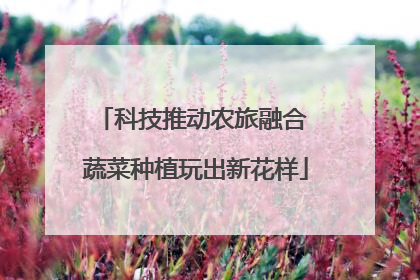 科技推动农旅融合 蔬菜种植玩出新花样